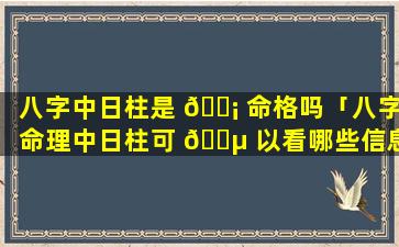 八字中日柱是 🐡 命格吗「八字命理中日柱可 🐵 以看哪些信息」